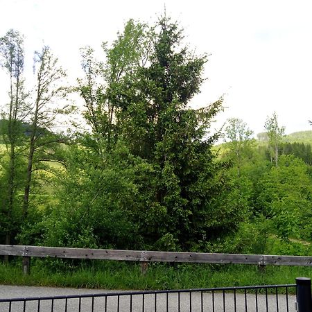 Feapp Parken & Pennen Apartment Mondsee Bagian luar foto