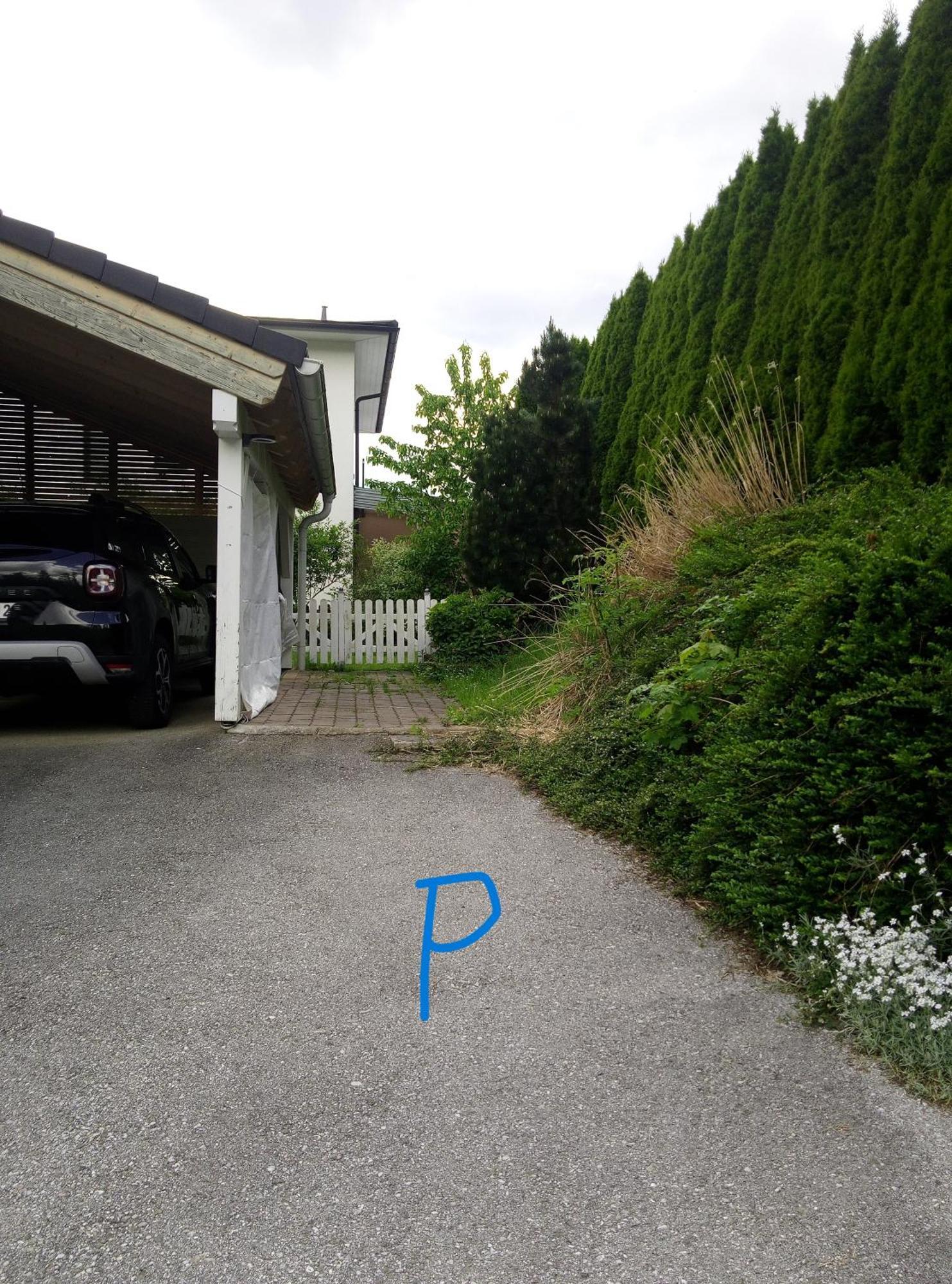 Feapp Parken & Pennen Apartment Mondsee Bagian luar foto